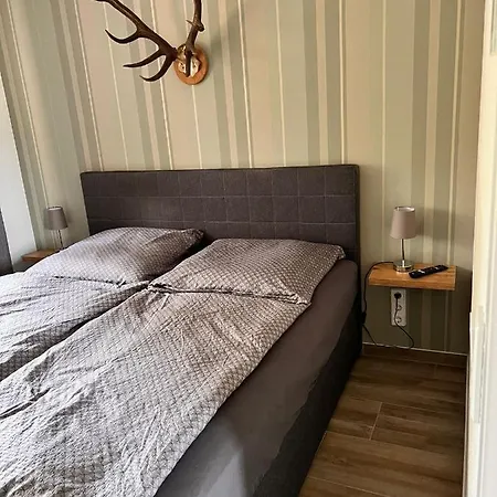 Ferienhaus II Zittertal Neustadt Harz Mit Grossem Garten, Kamin Und Fussbodenheizung Osterode  Экстерьер фото