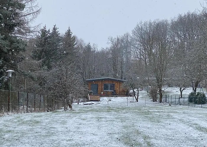 Ferienhaus II Zittertal Neustadt Harz Mit Grossem Garten, Kamin Und Fussbodenheizung