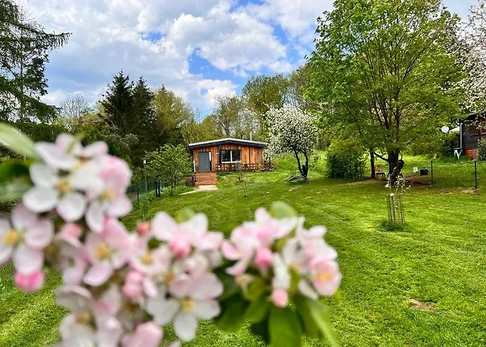 Ferienhaus II Zittertal Neustadt Harz Mit Grossem Garten, Kamin Und Fussbodenheizung