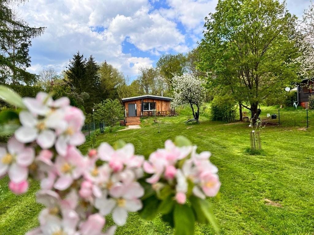 Ii Zittertal Neustadt Harz Mit Grossem Garten, Kamin Und Fussbodenheizung Osterode (Thuringia)