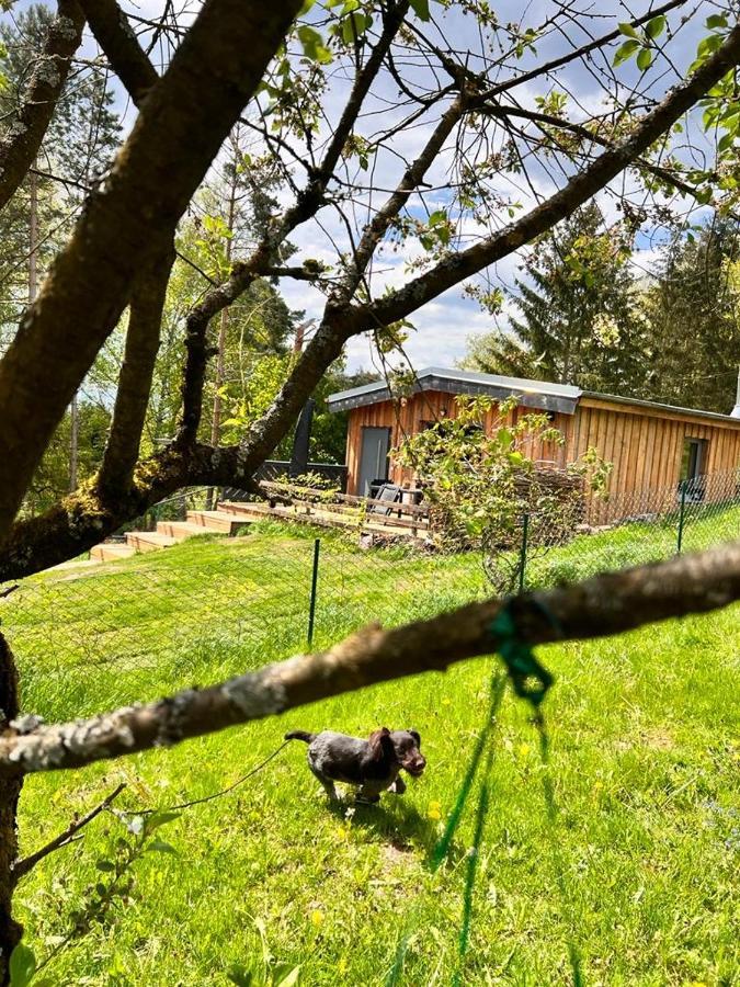 Ii Zittertal Neustadt Harz Mit Grossem Garten, Kamin Und Fussbodenheizung Dom wakacyjny Osterode (Thuringia)