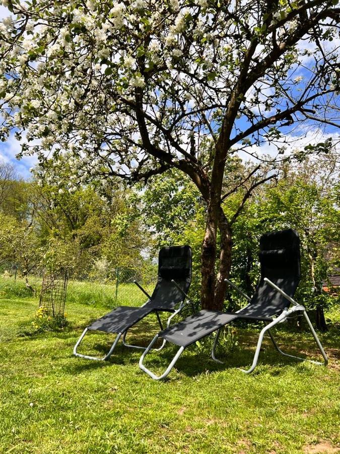 Ii Zittertal Neustadt Harz Mit Grossem Garten, Kamin Und Fussbodenheizung *